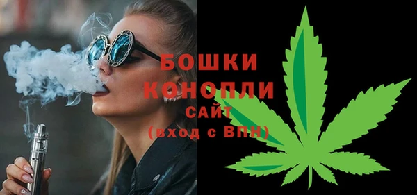 прущий лед Новозыбков