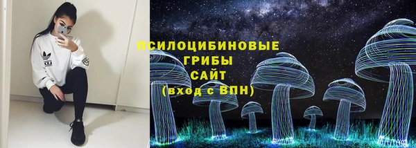 прущий лед Новозыбков