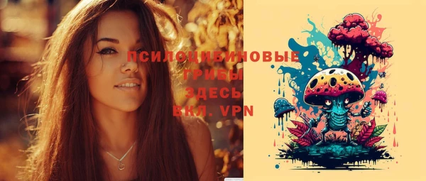 амф Новодвинск