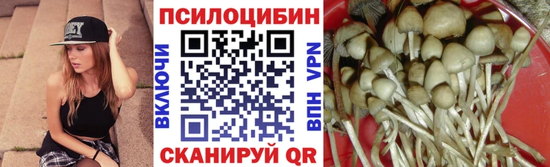 kraken   Игра  Псилоцибиновые грибы Psilocybine cubensis 
